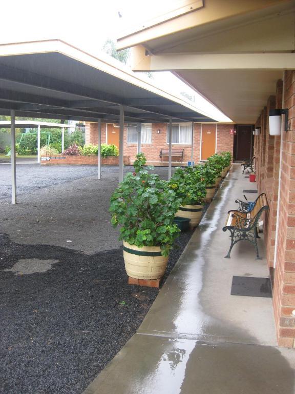 Alfa Motel Gilgandra Exterior foto